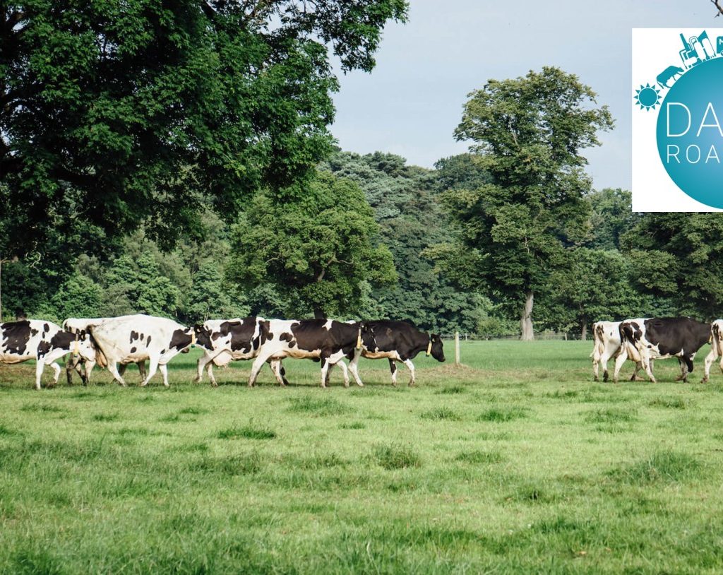 Dairy Roadmap Drives Forward Carbon Footprint Standardisation