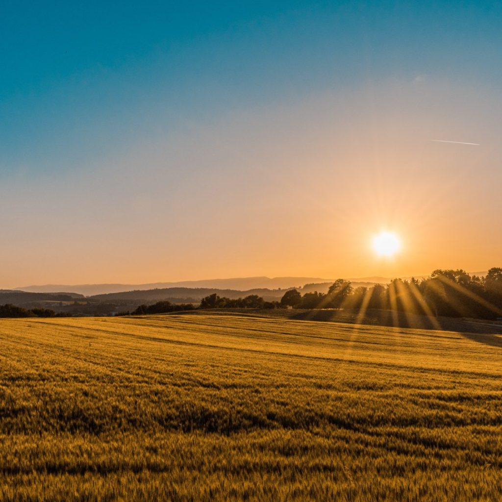 The National Farm Management Conference is back this November