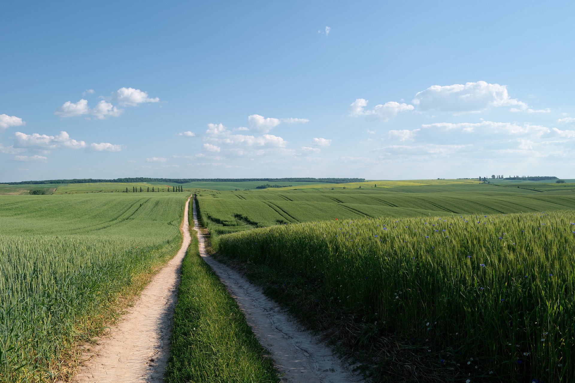 Focus on Nitrogen to ensure a sustainable future for farming