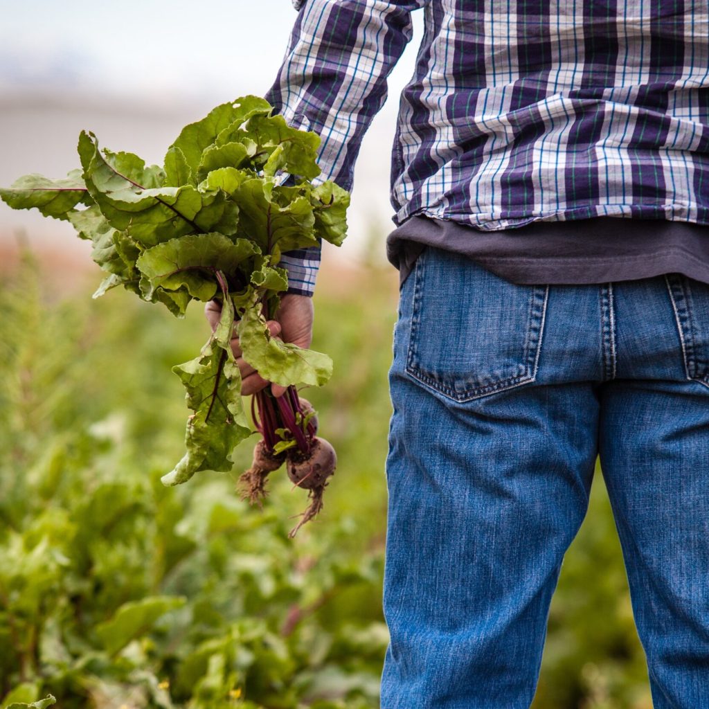 Trustable and permissioned data will be key to some of the National Food Strategy recommendations