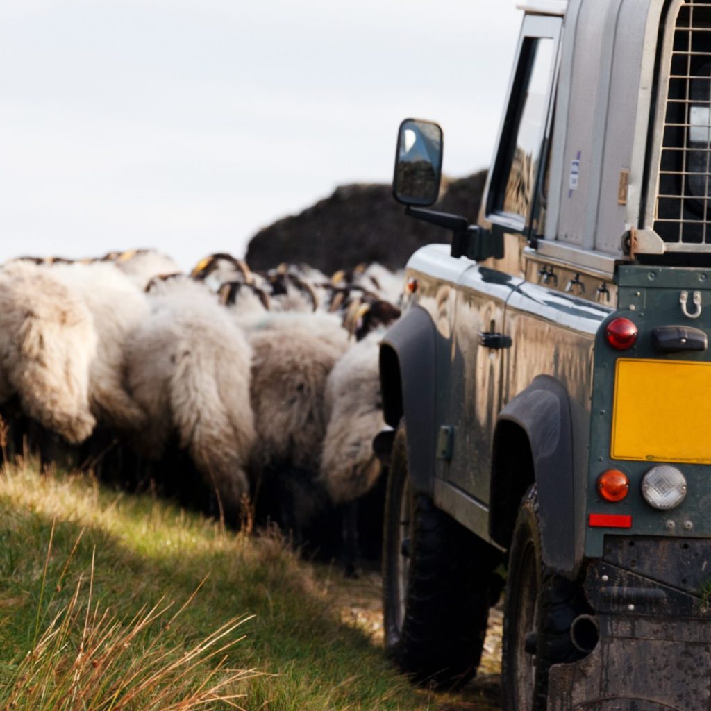 Digitising the UK’s Farm Assurance