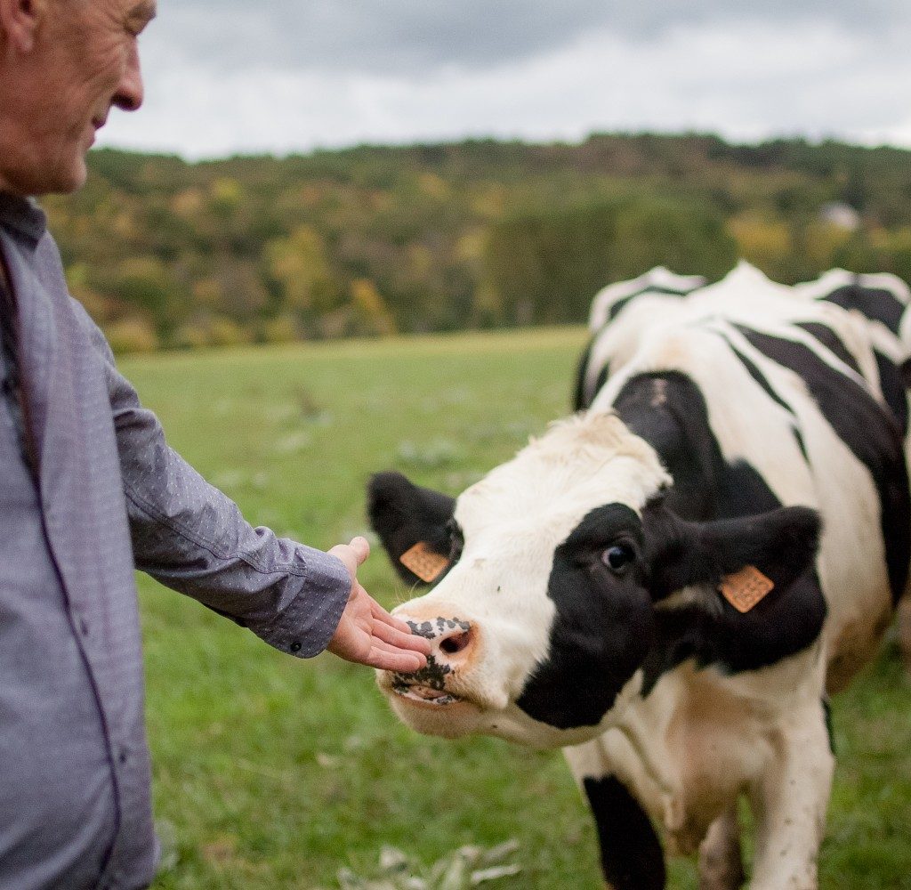 Sainsbury’s Animal Health & Welfare Report 2022