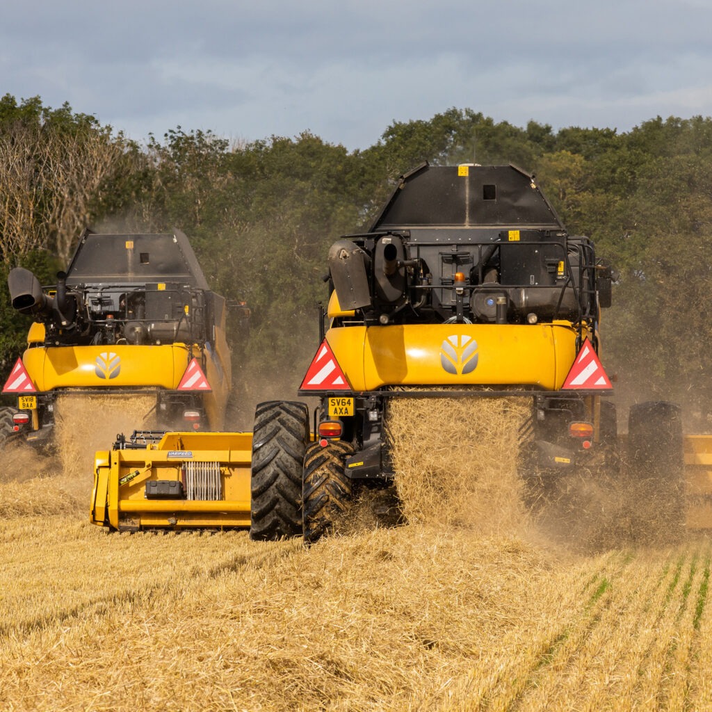 Scottish barley growers show strong regen foundations, supply chain study finds